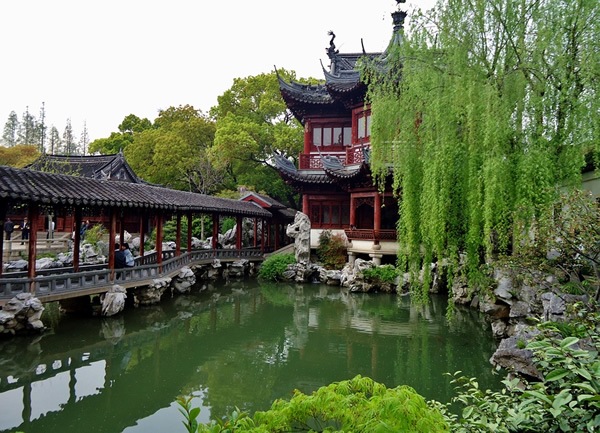 在中国上海,一个花园