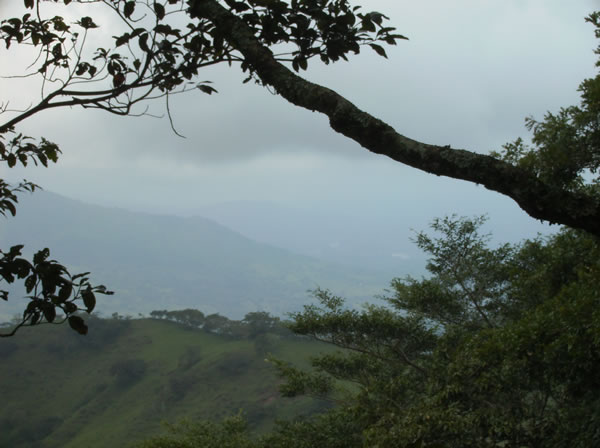 在郁郁葱葱的哥斯达黎加，雨季从5月持续到11月，但也有它的好处