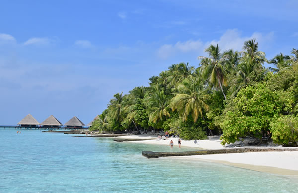 在马尔代夫的一个私人小岛上度假村