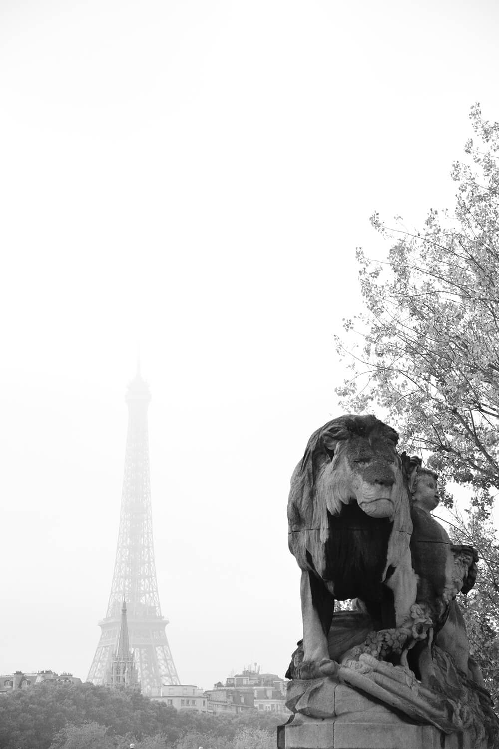 标志性埃菲尔铁塔的景色只是巴黎无尽的景点之一