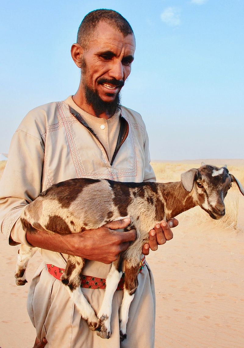 毛里塔尼亚的男子和山羊