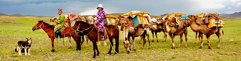 蒙古的骑马商队