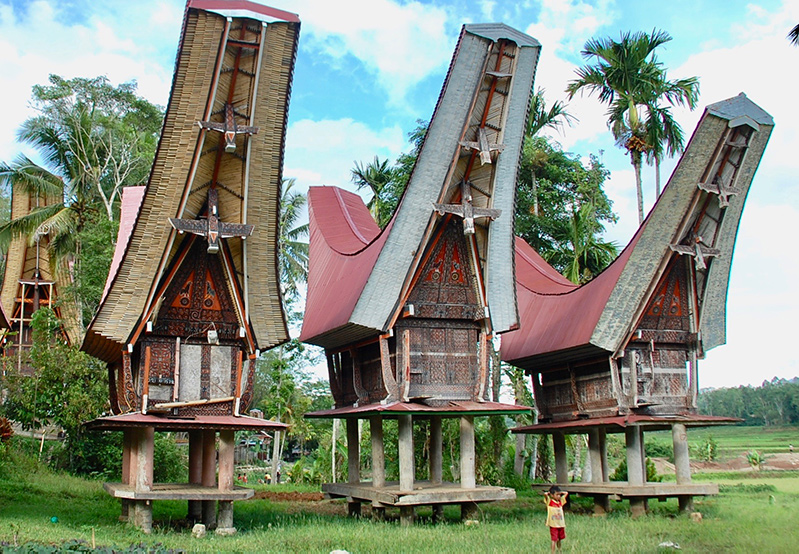 印度尼西亚苏拉威西岛的Tonkonans