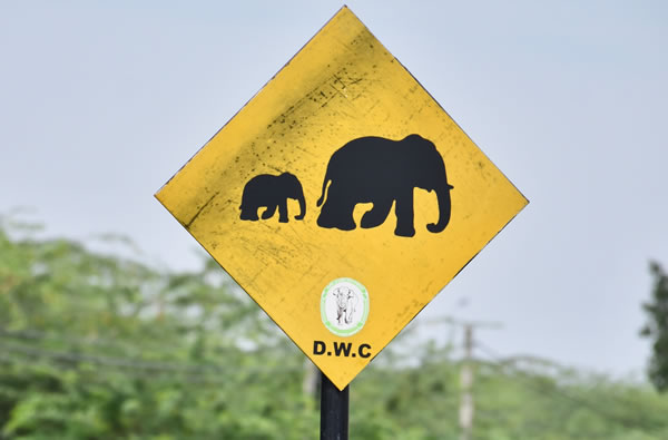 斯里兰卡南部道路的警告标志
