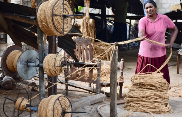 从椰子壳纤维生产绳索