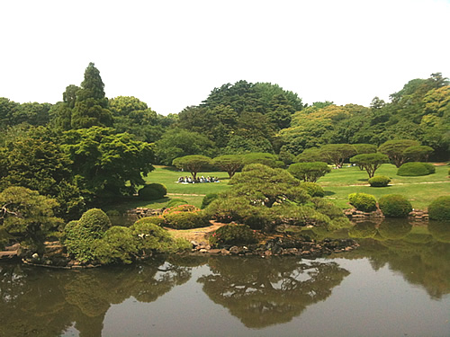 日本东京的新井库公园的园景花园