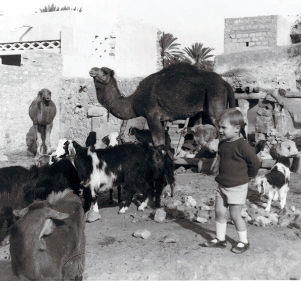 格雷格（Greg）与摩洛哥（Morocco）的山羊