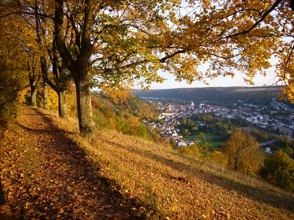 秋天，德国巴伐利斯Eichstätt的景色