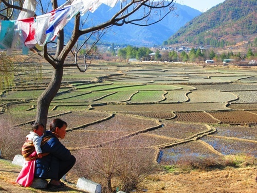母亲凝视着不丹的农田