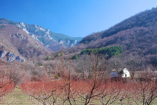 Asenovgrad附近的Bachkovo修道院