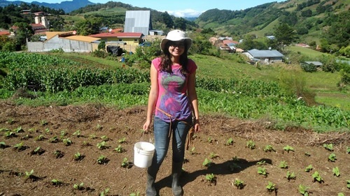 学生们在哥斯达黎加的农场工作