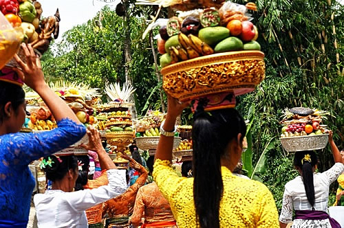 在巴厘岛妇女携带水果仪式