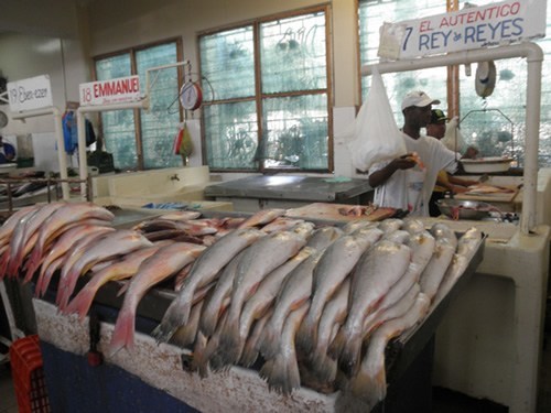 住在巴拿马城:鱼市场