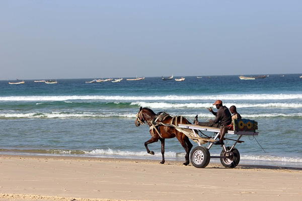 塞内加尔海边的马车