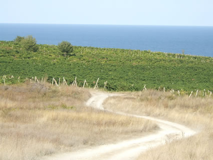 保加利亚黑海海岸的土路。