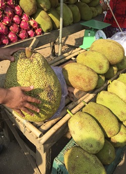 在柬埔寨捧着菠萝蜜
