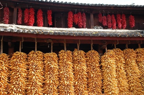 在中国小径上干燥玉米和胡椒粉