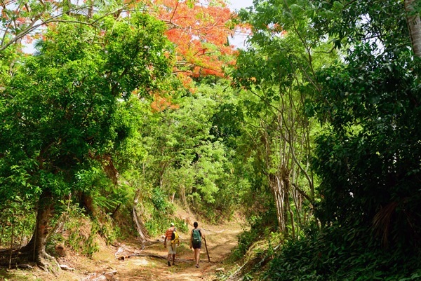 图巴瓜徒步旅行带你穿过多米尼加的乡村