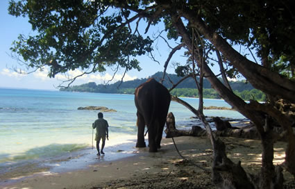 安达曼群岛，印度，人和大象