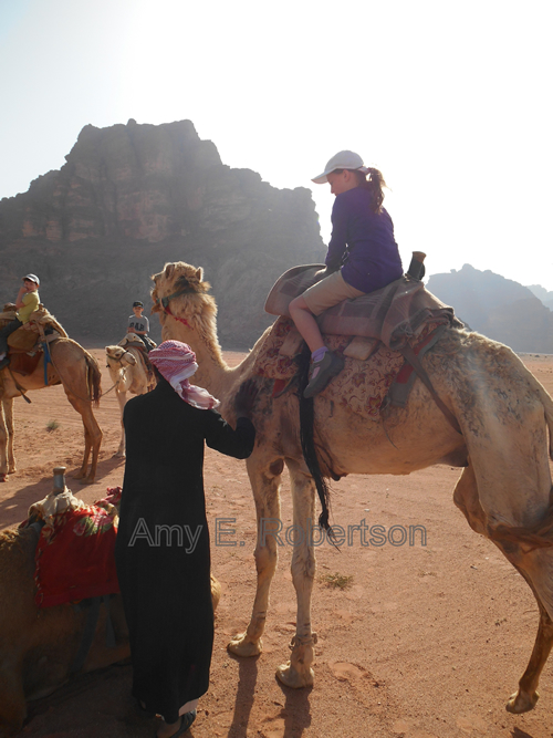 约旦瓦迪拉姆，一名贝都因向导在准备骆驼商队