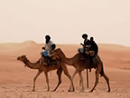 毛里塔尼亚骑骆驼的男人