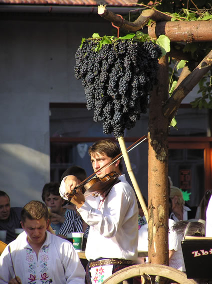 摩拉维亚葡萄酒收获节