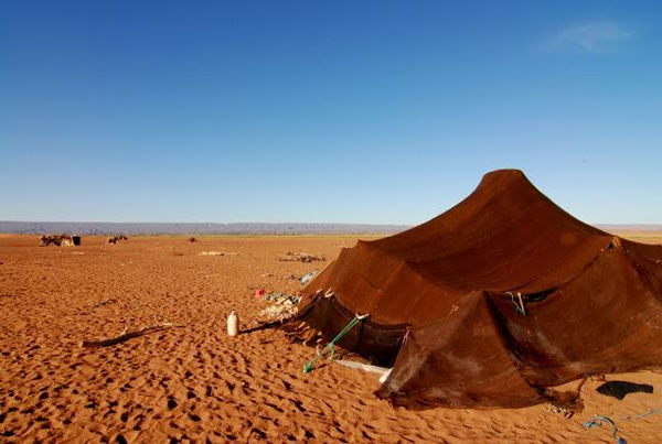 撒哈拉沙漠上点缀着的游牧民族帐篷之一