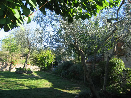 Agriturismo Olivello Tuscany