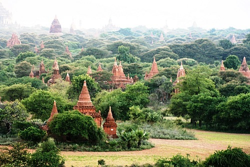 蝙蝠，缅甸寺庙和古迹