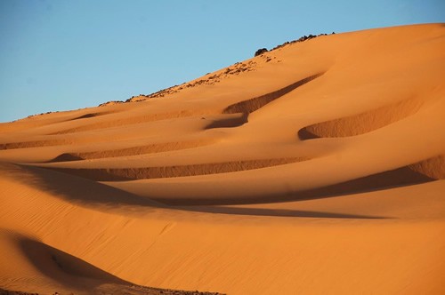 沙丘在下午晚些时候仍然温暖