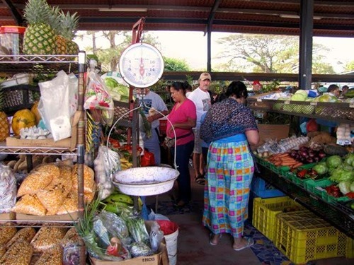 慢食在巴拿马的一个农贸市场