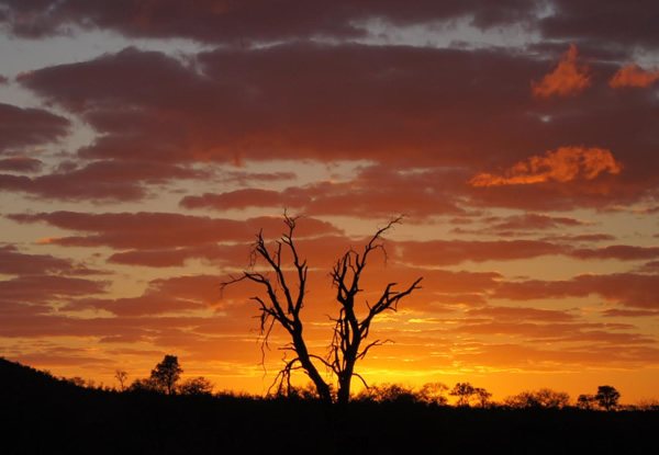 南非克鲁格国家公园的日出