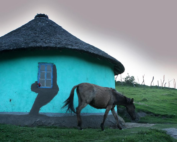 Domleu在南非东开普省的科萨小屋