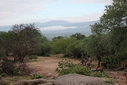 哈达扎（Hadazbe Land）和Ngorogoro火山口