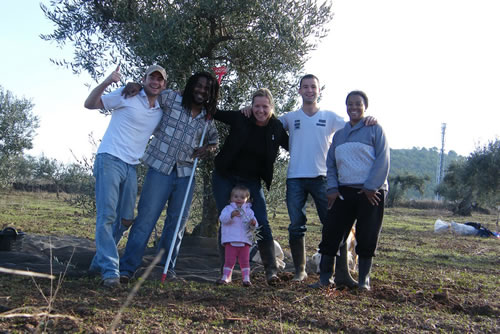 和家人一起在西班牙的一个农场做志愿工作