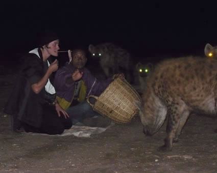 在埃塞俄比亚喂鬣狗