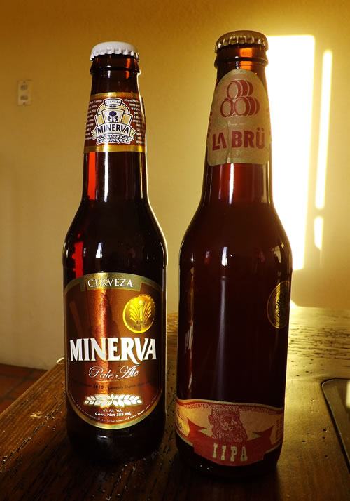 两种墨西哥精酿啤酒。