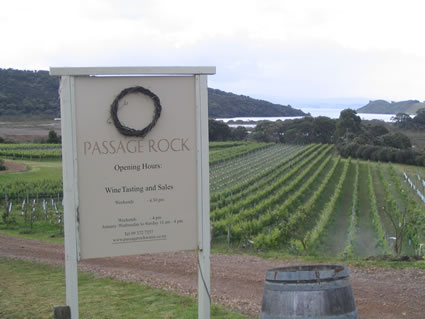新西兰的一个葡萄园