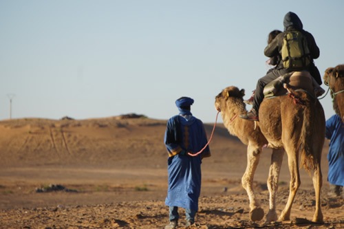 骆驼背上的游览开始跋涉进入沙漠