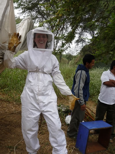 在秘鲁收获蜂蜜
