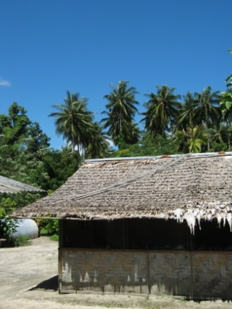 巴布亚新几内亚村的房子