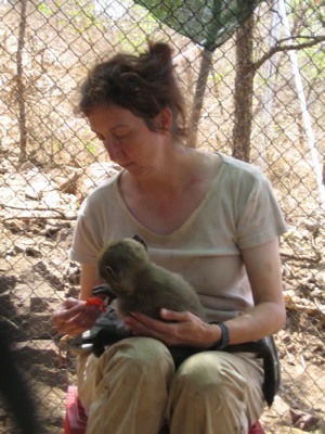 志愿者照顾年轻的狒狒