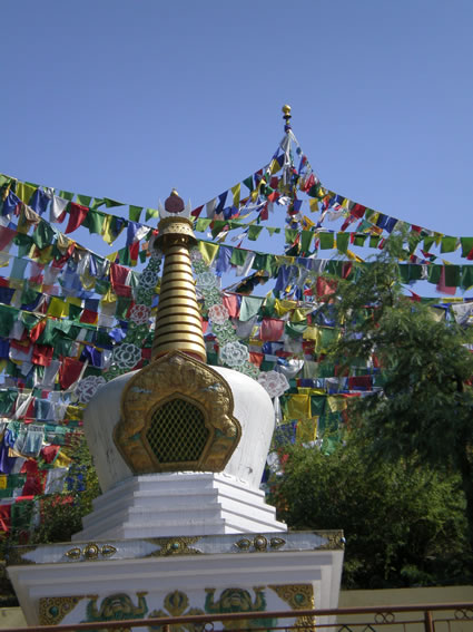 达赖喇嘛寺庙后面的经幡