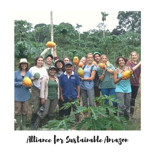 可持续的亚马逊联盟志愿者