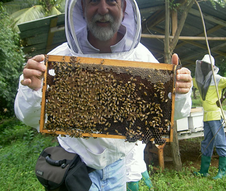 帮助养蜂人重建养蜂场