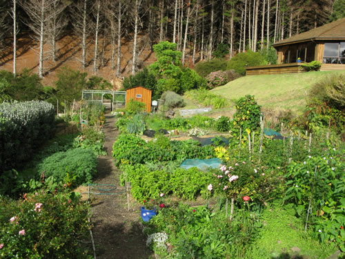 新西兰法力的有机花园