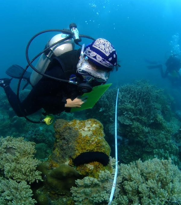 志愿者在马来西亚收集有关珊瑚礁的数据