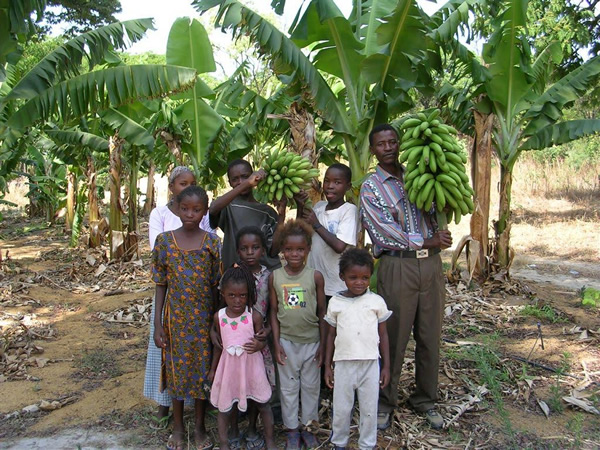 赞比亚的社区以他们的香蕉为荣