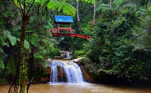马来西亚乡村一座桥下的瀑布