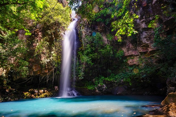哥斯达黎加森林中的瀑布